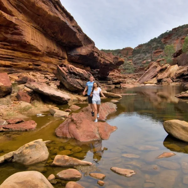 ningaloo tours