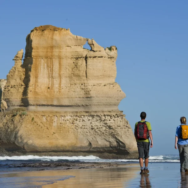 ocean road tours