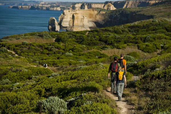 great otway national park things to do