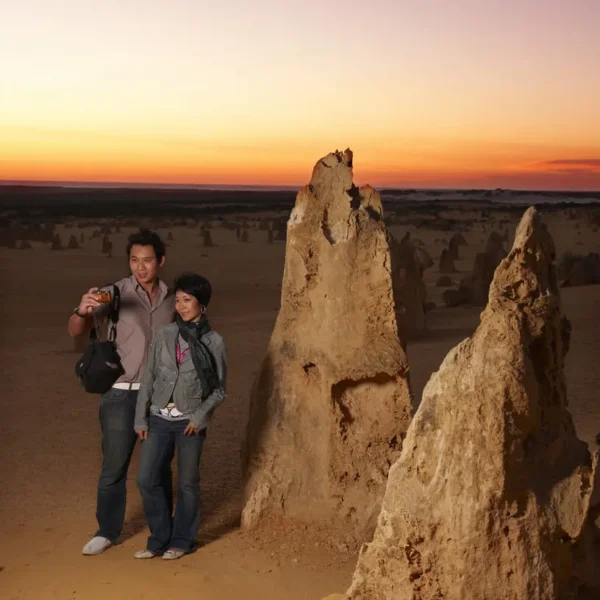 perth to pinnacles day trip