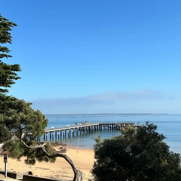 phillip island tours australia