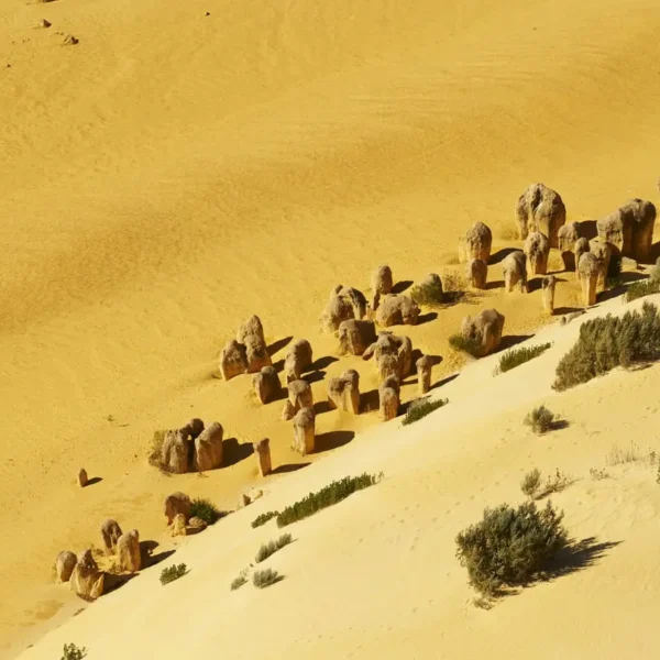 pinnacle desert tour