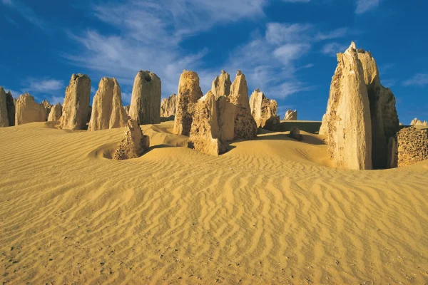 pinnacles desert tour