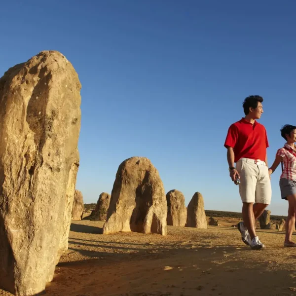 pinnacles tour