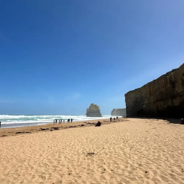 private tour great ocean road