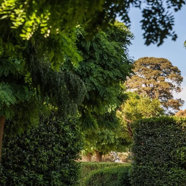 private wine tour yarra valley