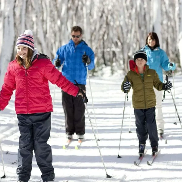 snow tour