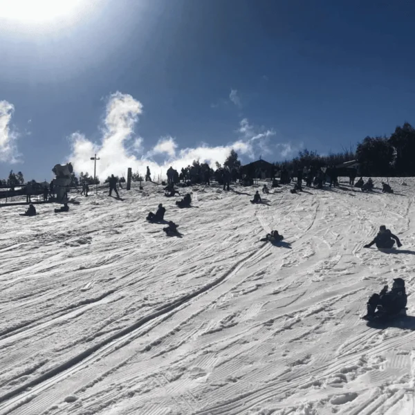 ski tour melbourne