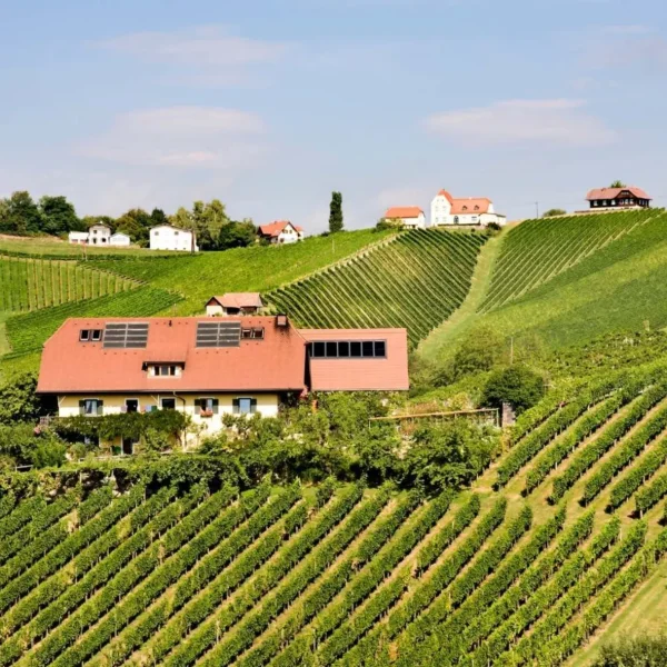 small group wine tours yarra valley