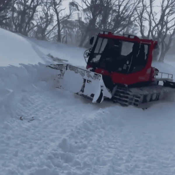 snow day trip
