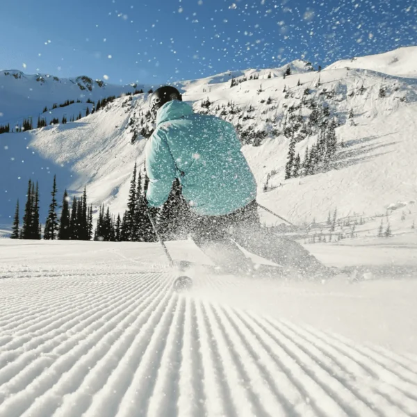 snow day trips from melbourne