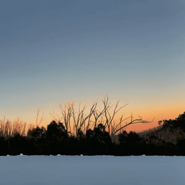 snow tour melbourne