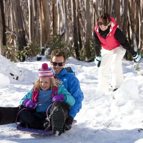 snow tours