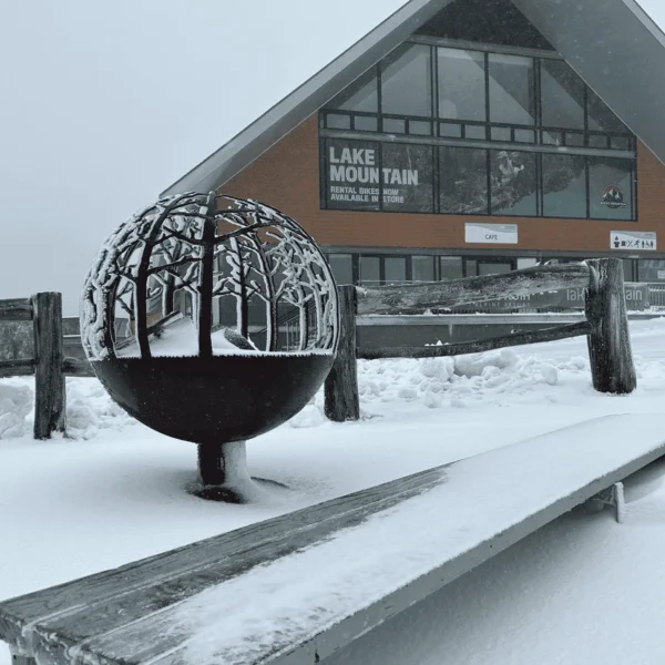 snow tours melbourne