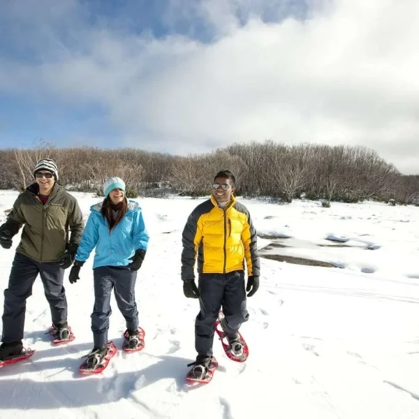 snow trips victoria