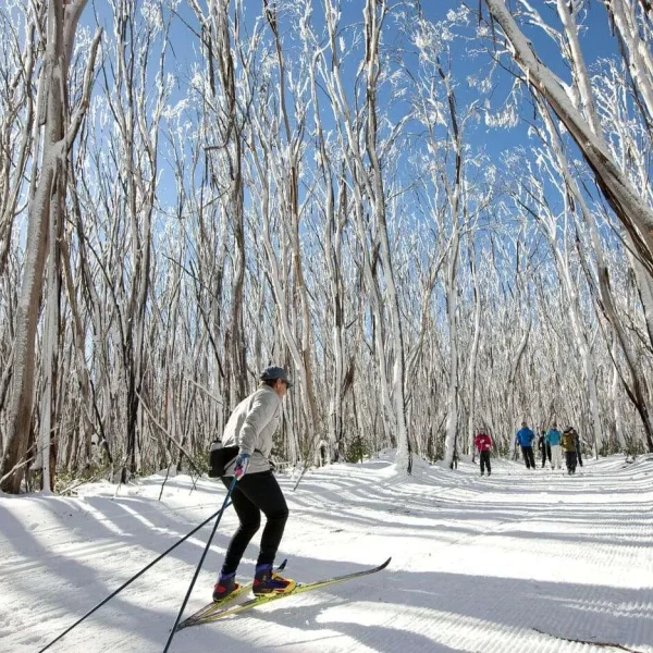 melbourne ski trips