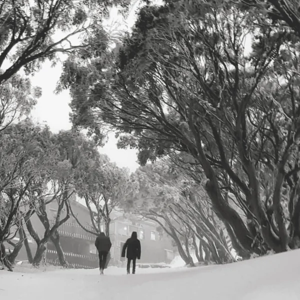 snowy mountains day trip