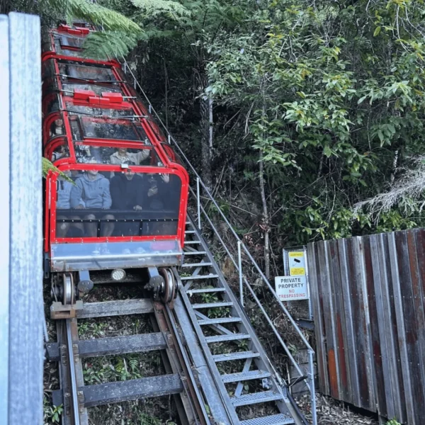 sydney day tours blue mountains