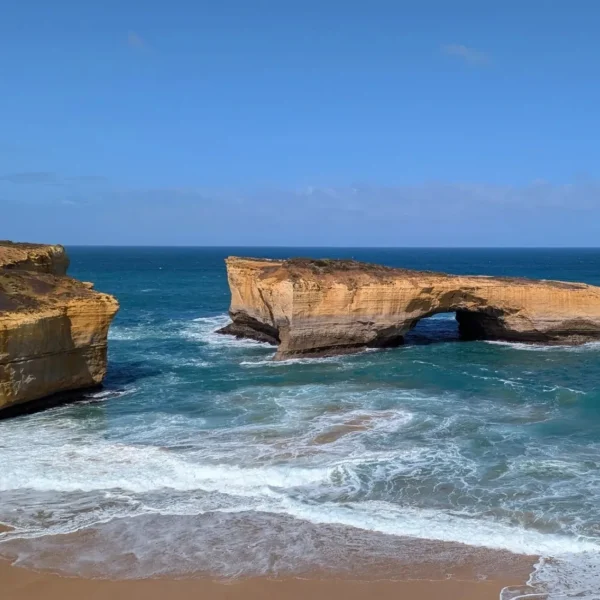 the great ocean road tours