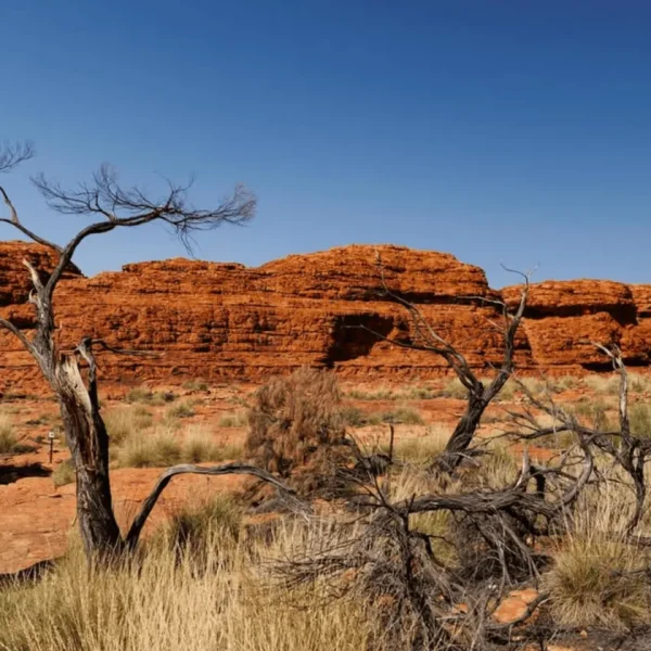 the rock tour kings canyon