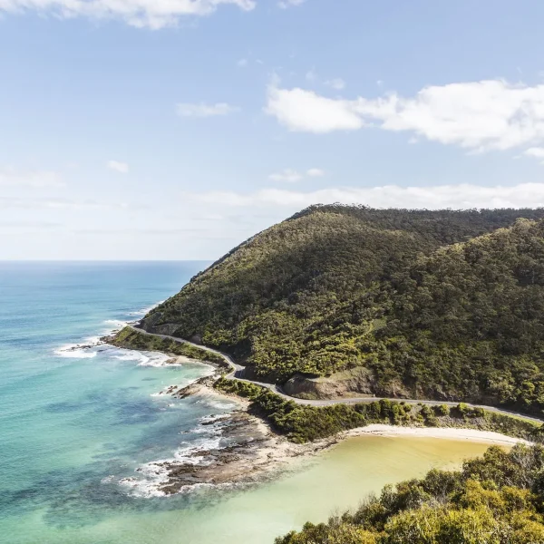 great ocean road tour