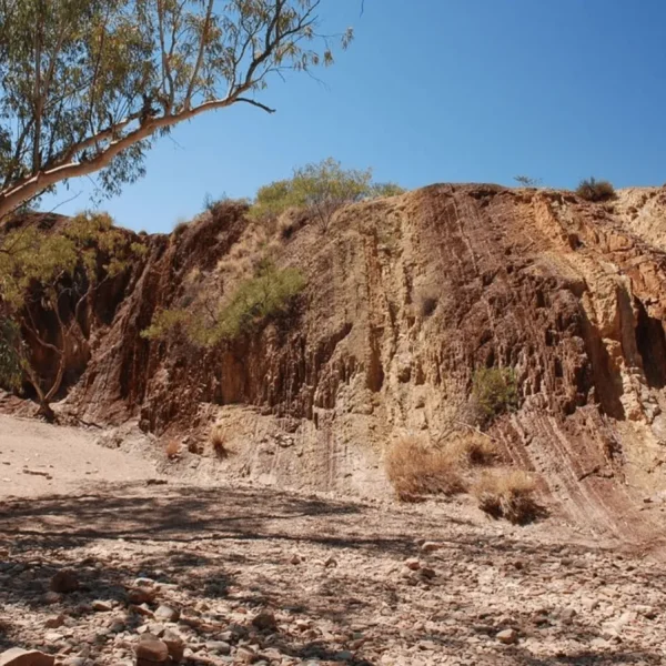 tour alice springs