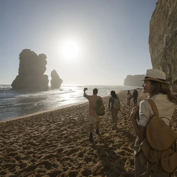 tour great ocean road