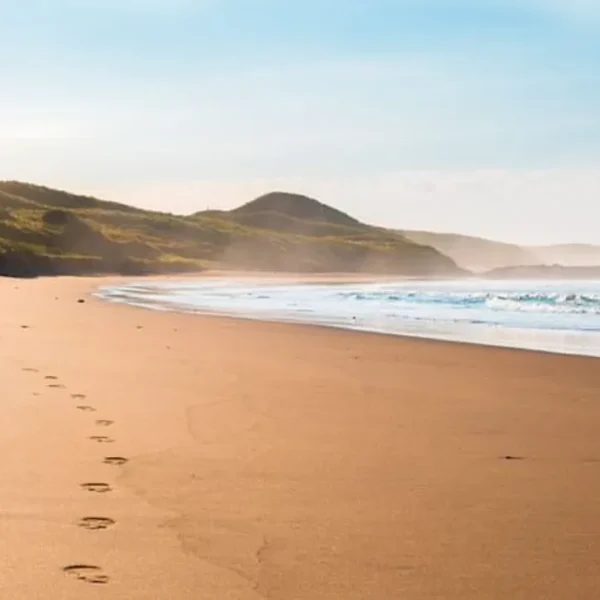 tour phillip island
