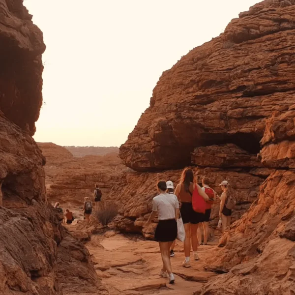 tour uluru kings canyon