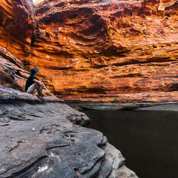tours ayers rock