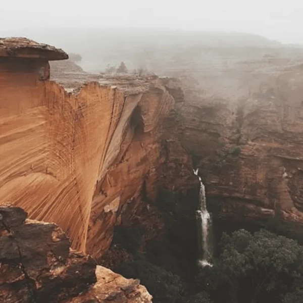 tours from uluru to kings canyon