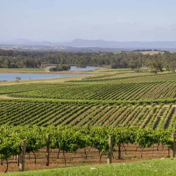 day trip to hunter valley