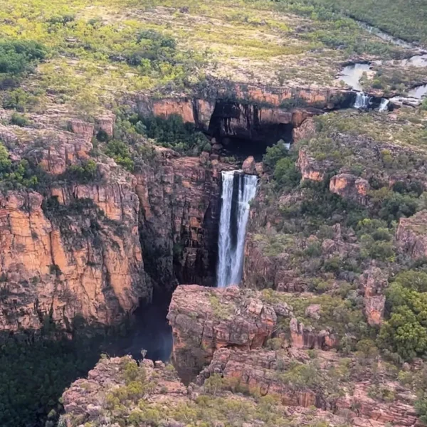 tours to kakadu