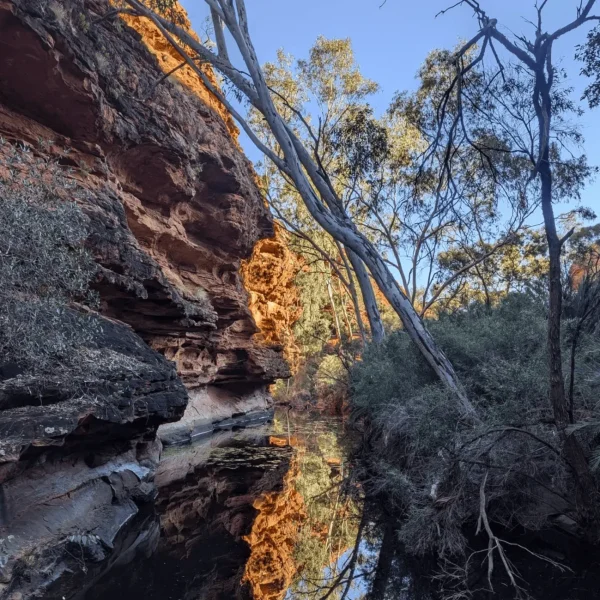 tours to kings canyon from uluru