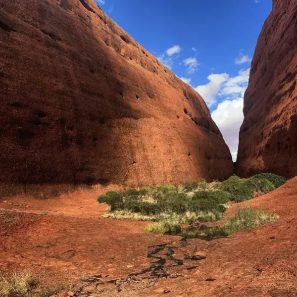 tours to uluru