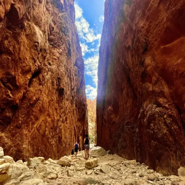 travel to alice springs