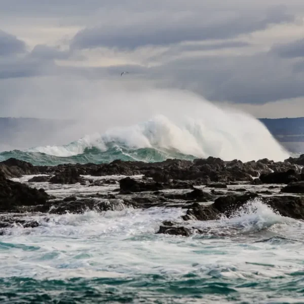 trip to great ocean road