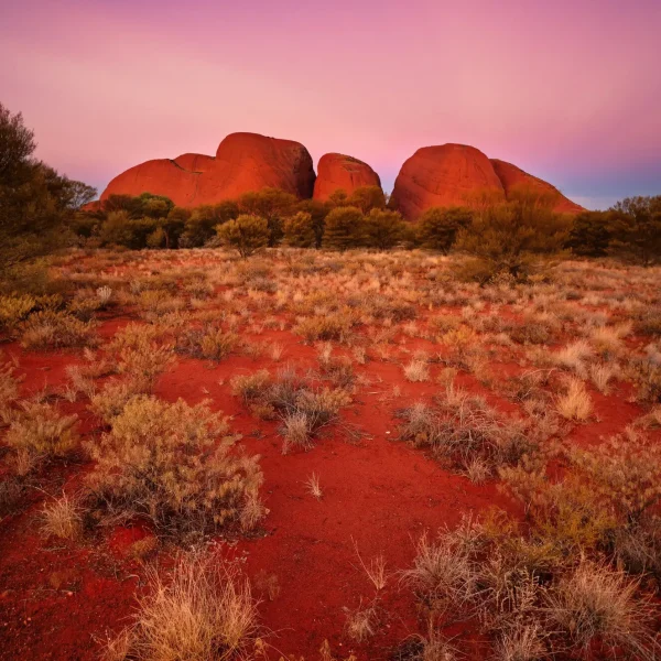kata tjuta small group tours
