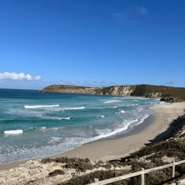 trips to kangaroo island