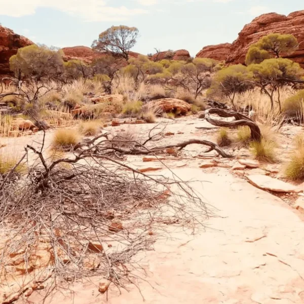 uluru 2 day tour