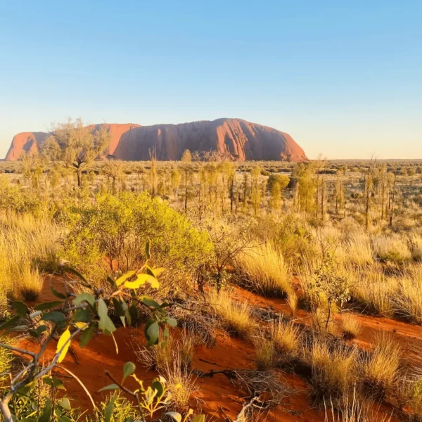 uluru 2 day tours