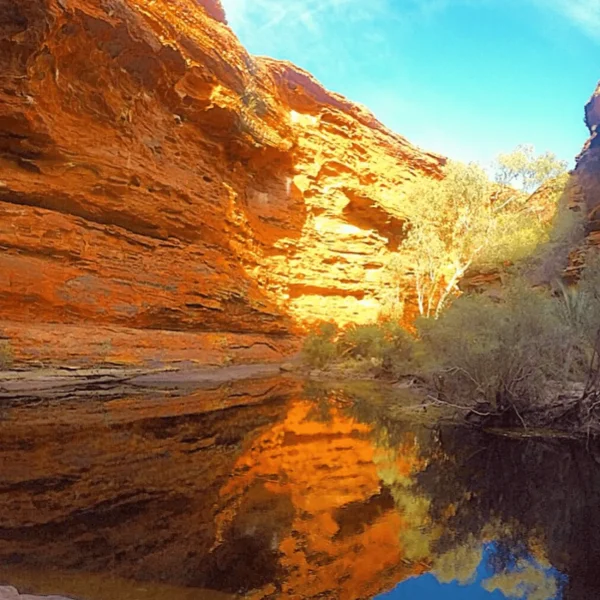 uluru and kings canyon tour