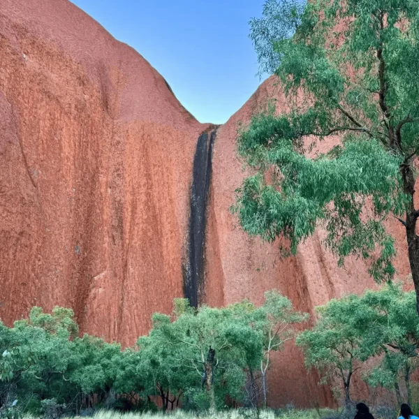 uluru kata tjuta national park tours