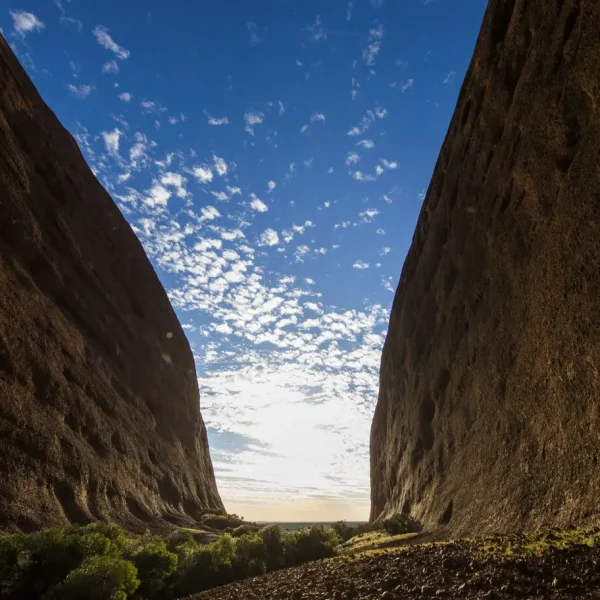 uluru to alice springs tour