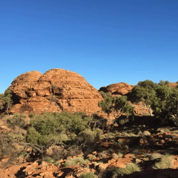 uluru to kings canyon tour