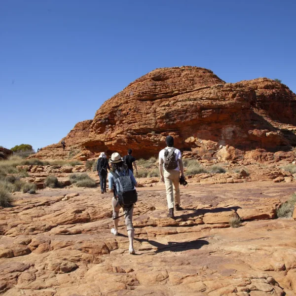 uluru tour
