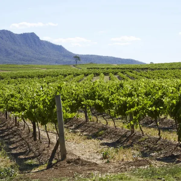 hunter valley day trip from sydney