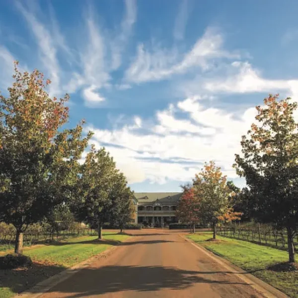 hunter valley half day wine tours