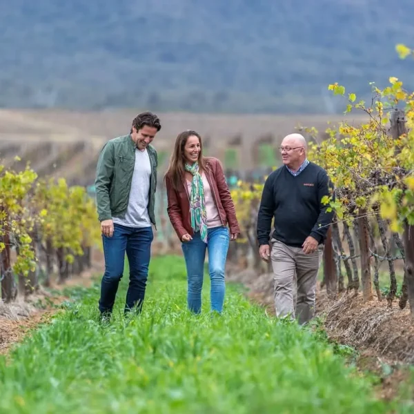 half day wine tours hunter valley