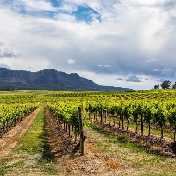 hunter valley private wine tours